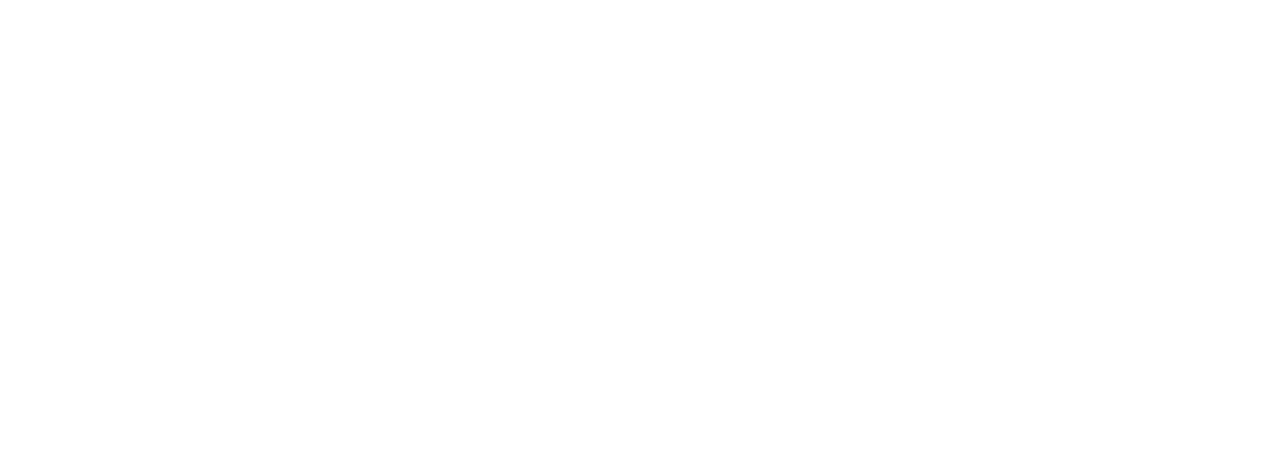 Wise Consulting