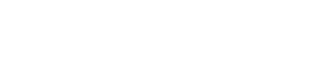 Wise Consulting